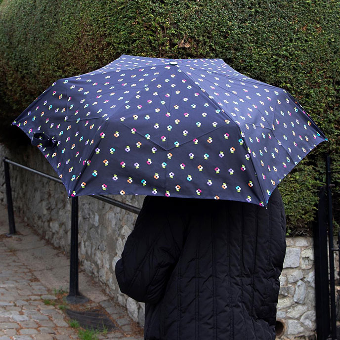 totes ECO-BRELLA® Auto Open/Close French Flowers Print Umbrella (3 Section)