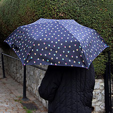 totes ECO-BRELLA® Auto Open/Close French Flowers Print Umbrella